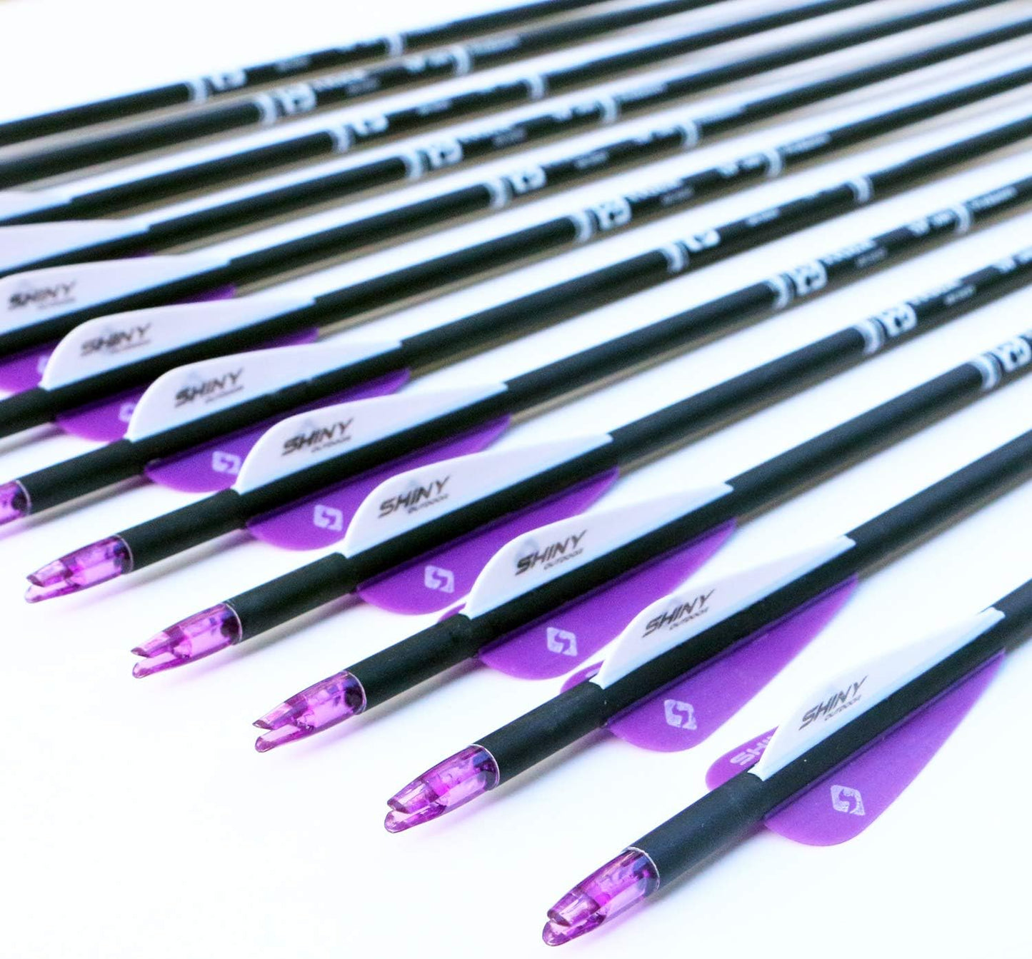 30Inch Carbon Arrow Practice Hunting Arrows with Removable Tips for Compound & Recurve Bow(Pack of 12)