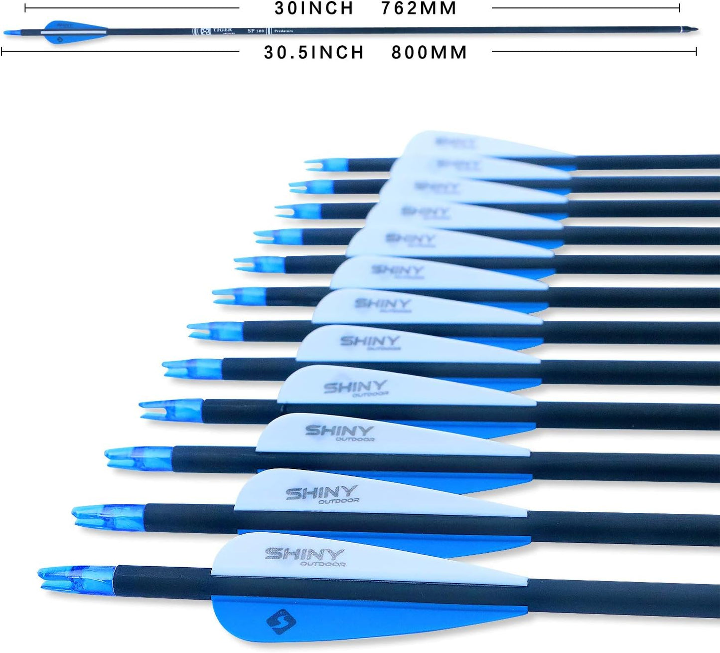 30Inch Carbon Arrow Practice Hunting Arrows with Removable Tips for Compound & Recurve Bow(Pack of 12)