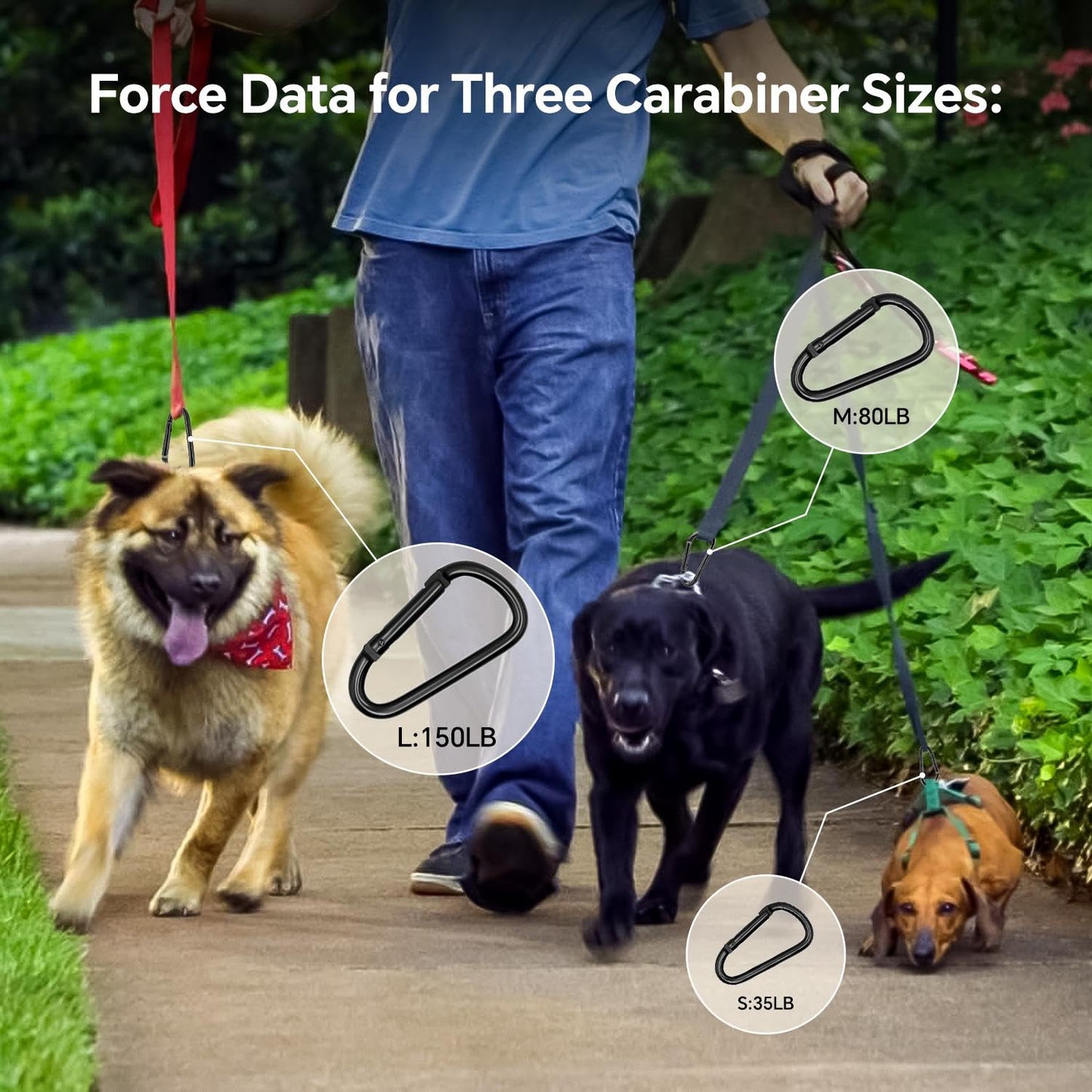 All Black Carabiner Clip Assorted Sizes, Includes 2 Inch Carbineers, Small 2.3" D Ring Clip, Large 3 Inch Carabiner Heavy Duty, Aluminum Caribiner Keychain Hook for Backpack Camping(Black-Comb 12pcs)