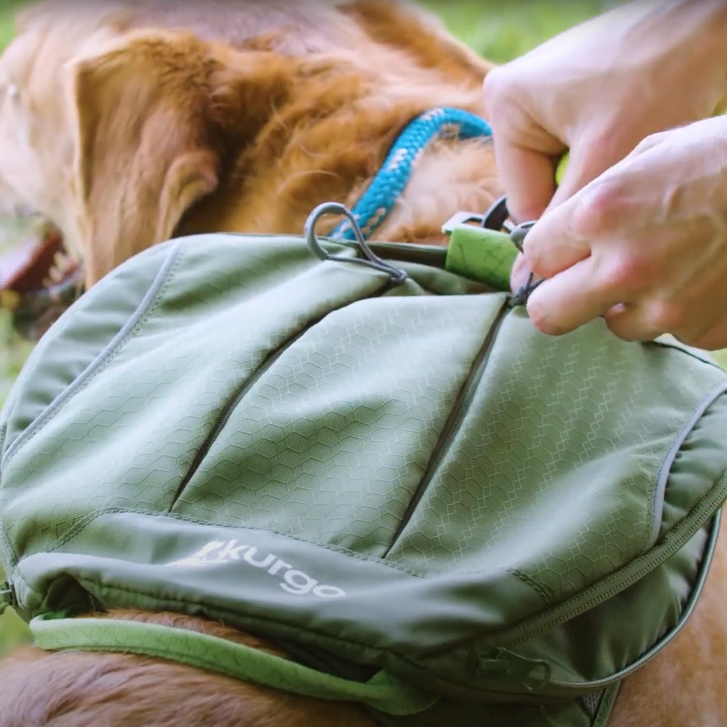 Kurgo Cascade Harness, Hiking Backpack for Dogs, Pet Harness with Backpack for Camping with a Dog (Orange, Large)