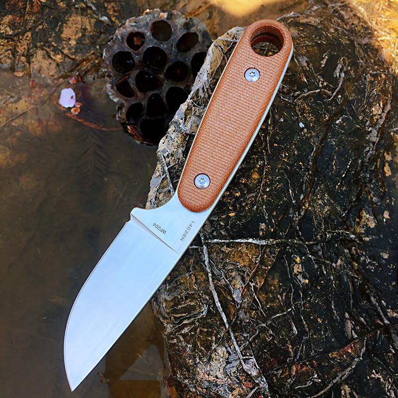 Watchman W204D EDC Fixed Blade Knife 14C28N Blade Steel Micarta Handle with Kydex Sheaths for Outdoor Activities Camping