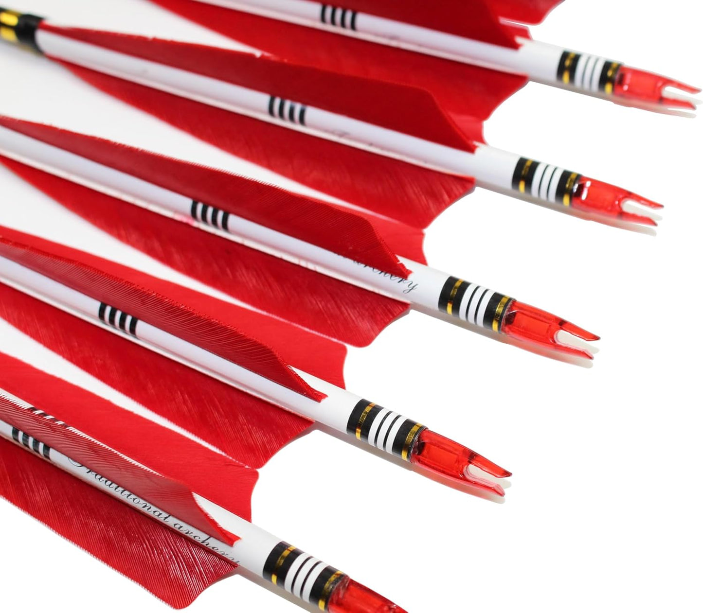 12PCS Red Turkey Feather 31 inches Carbon Arrows Replacement Tips Targeting Arrows Archery for Recurve Longbow Hunting&Practice