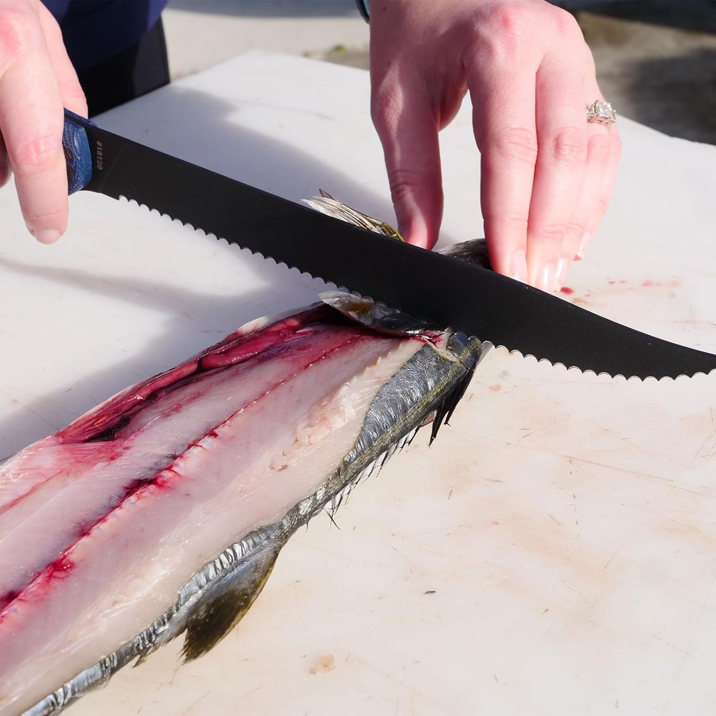 Cuda 9" Serrated Professional Saltwater Corrosion Resistant Stainless Carpenter Steel Fish Filleting Knife with Hard Molded Sheath Included