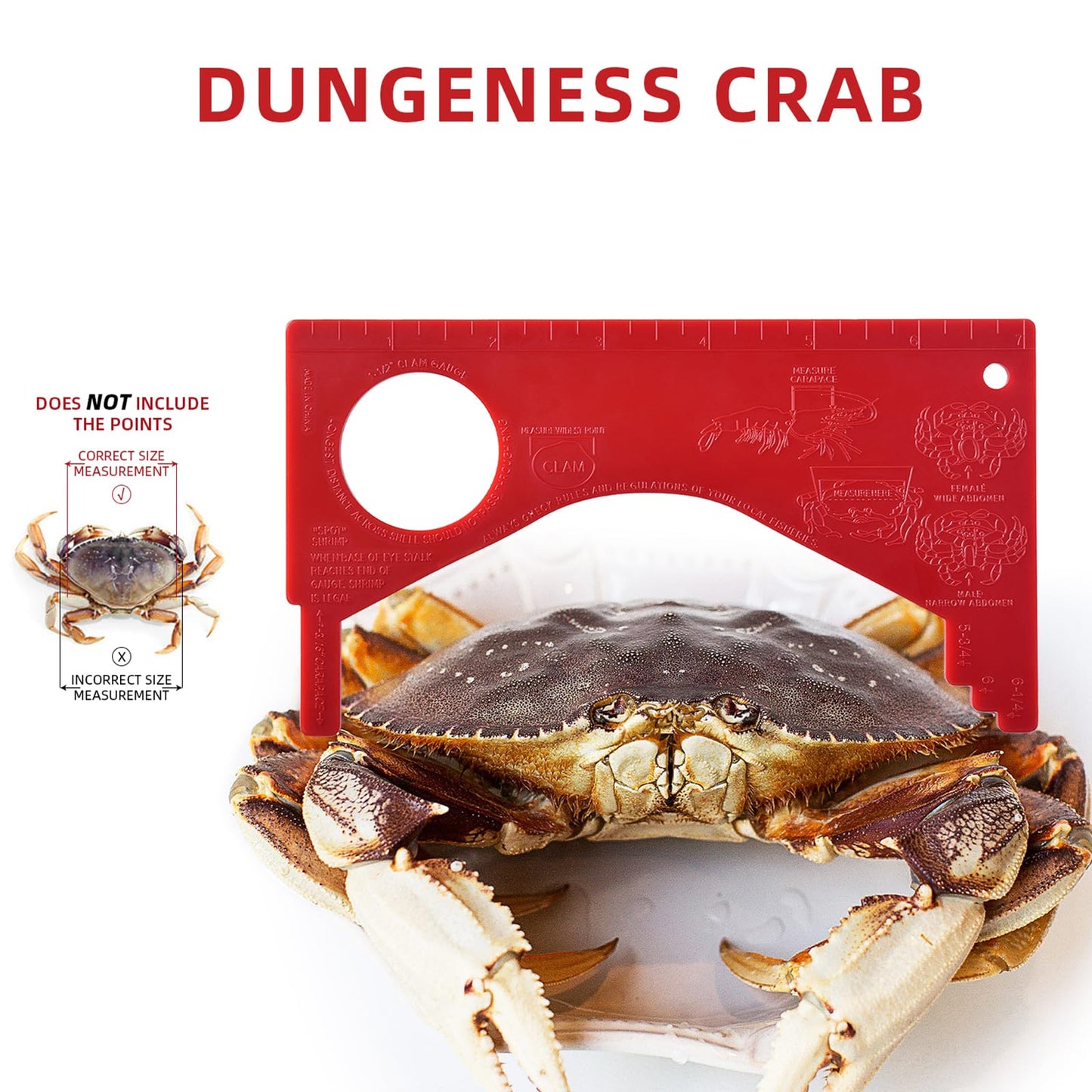 A1FISHER Heavy Duty Crab Pot Trap Pacific 3 Tunnel with 2 Doors(30''Dia-10''Tall) Crabbing Kit for Dungeness