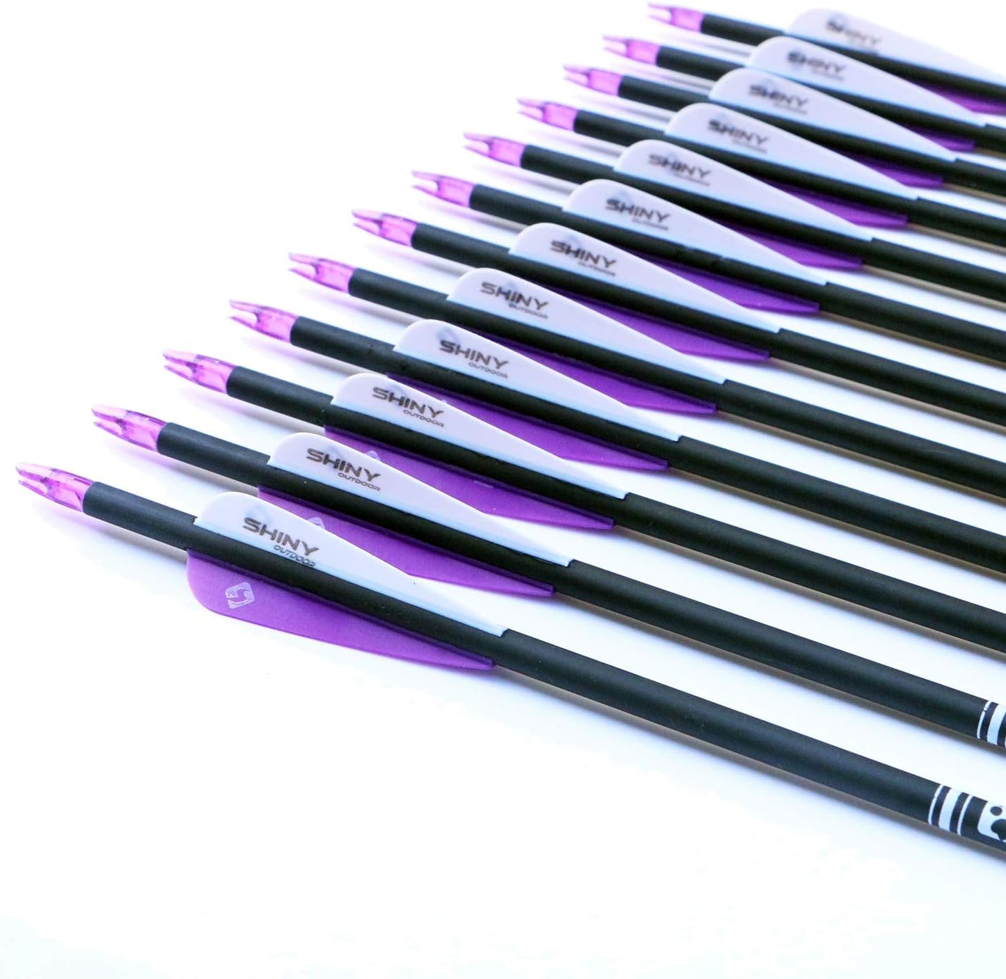 30Inch Carbon Arrow Practice Hunting Arrows with Removable Tips for Compound & Recurve Bow(Pack of 12)