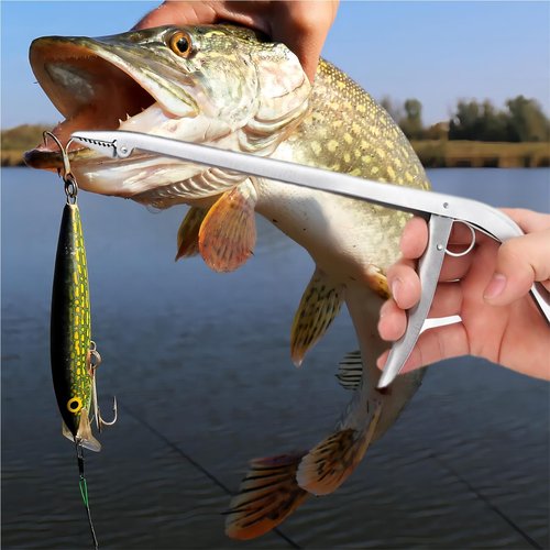 Fish Hook Remover Tool Stainless Steel Fish Dehooker Freshwater Saltwater Fishing Pliers 11-1/2 inch (Hook Remover)
