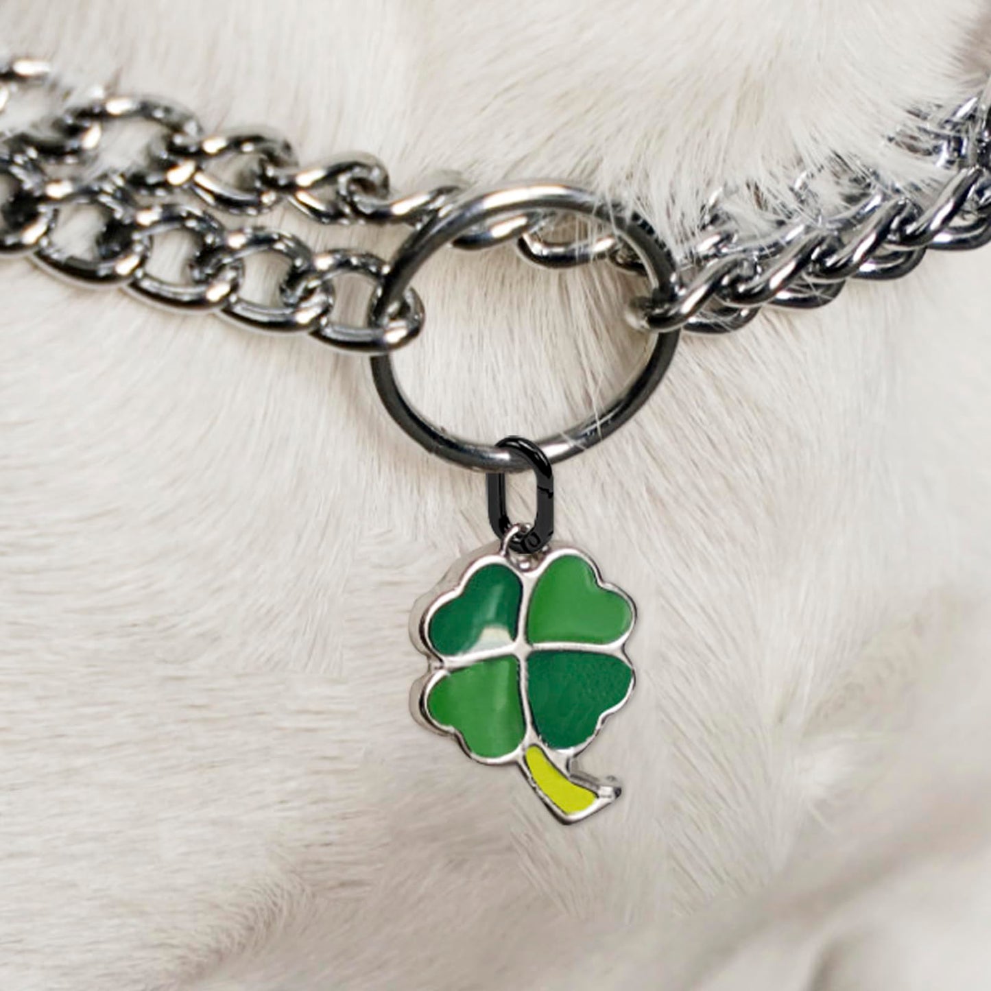 30pcs Black Oval Carabiner Metal Spring Loop Clip, Small Carabiner Metal Spring Key Ring for Bags, Keychain, Dog Tag Clips (Black)