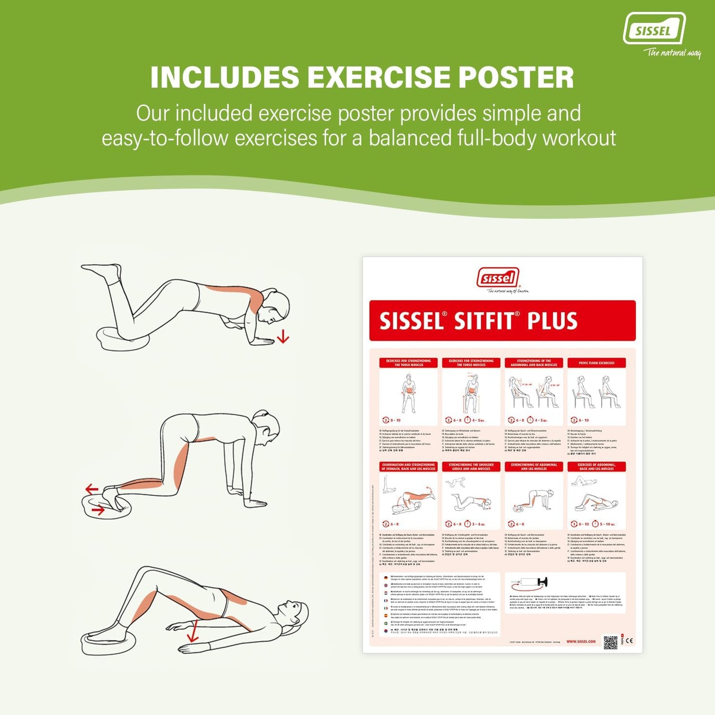 Sissel® SitFit® Plus (Pump Included)