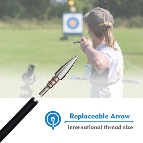 12pcs Archery Arrow Tips 100/125/150/200 Grain Field Tips 5/16 Inch, Stainless Steel Screw in Bullet Points, Archery Target Crossbow Practice Tip for Recurve Bow, Compound Bow, Hunting Bow