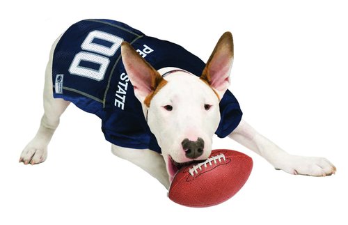 NCAA College Pittsburgh Panthers Mesh Jersey for Dogs & Cats, Small. Licensed Big Dog Jersey with Your Favorite Football/Basketball College Team (Pack of 2)