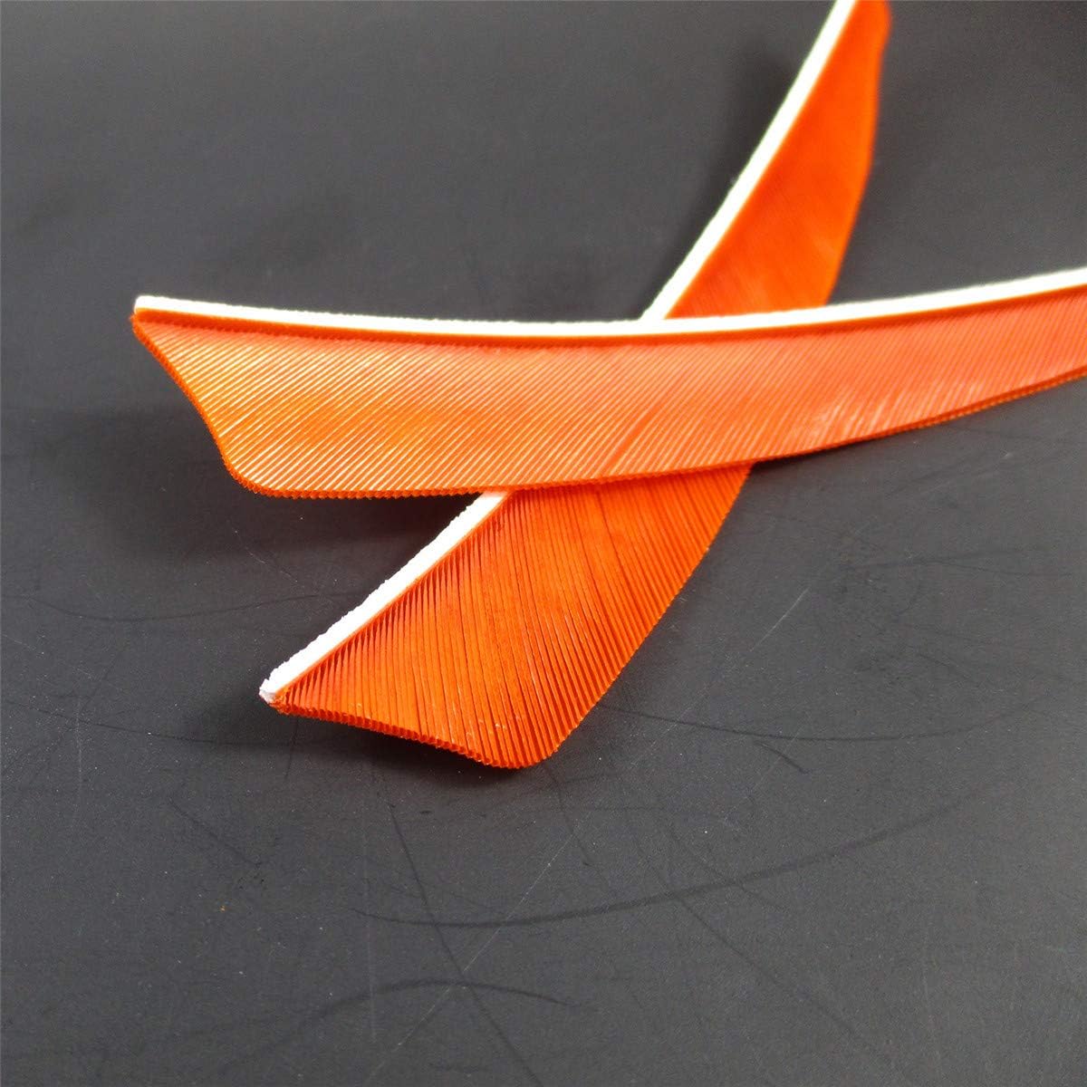 Letszhu Archery Arrows Feather Fletching 4 Inch Real Turkey Vanes for Hunting Target Shooting (25 Pack)