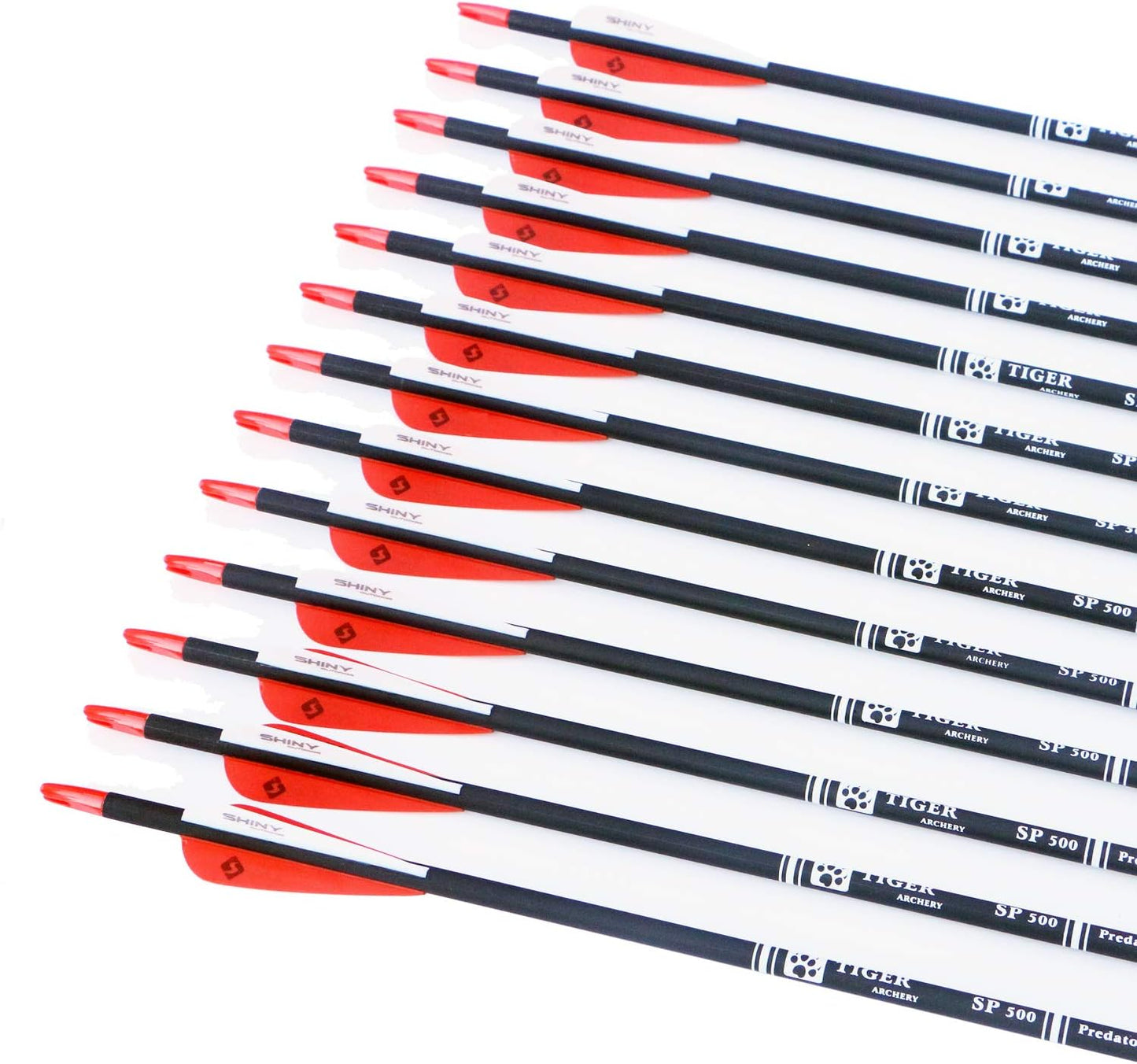 30Inch Carbon Arrow Practice Hunting Arrows with Removable Tips for Compound & Recurve Bow(Pack of 12)