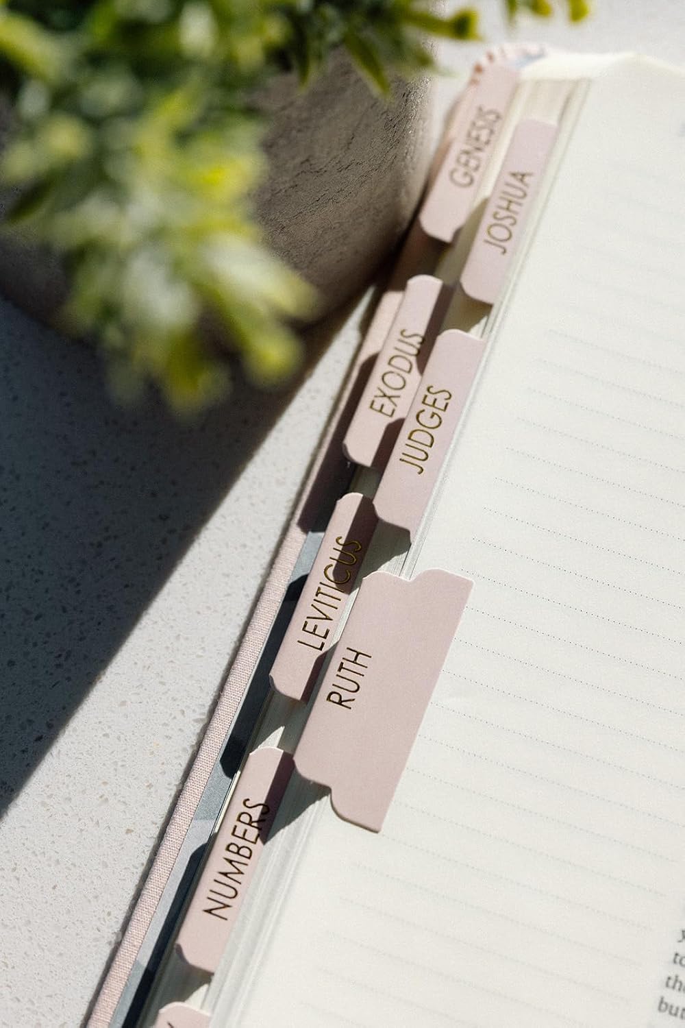 Bible Tabs for Women Study Bible, Embossed Matte Catholic Bible Tabs Gold, Laminated Bible Tabs, Bible Book Tabs w/Old & New Testament Neutral Bible Labels Tabs, Perfect Bible Study Supplies Oak