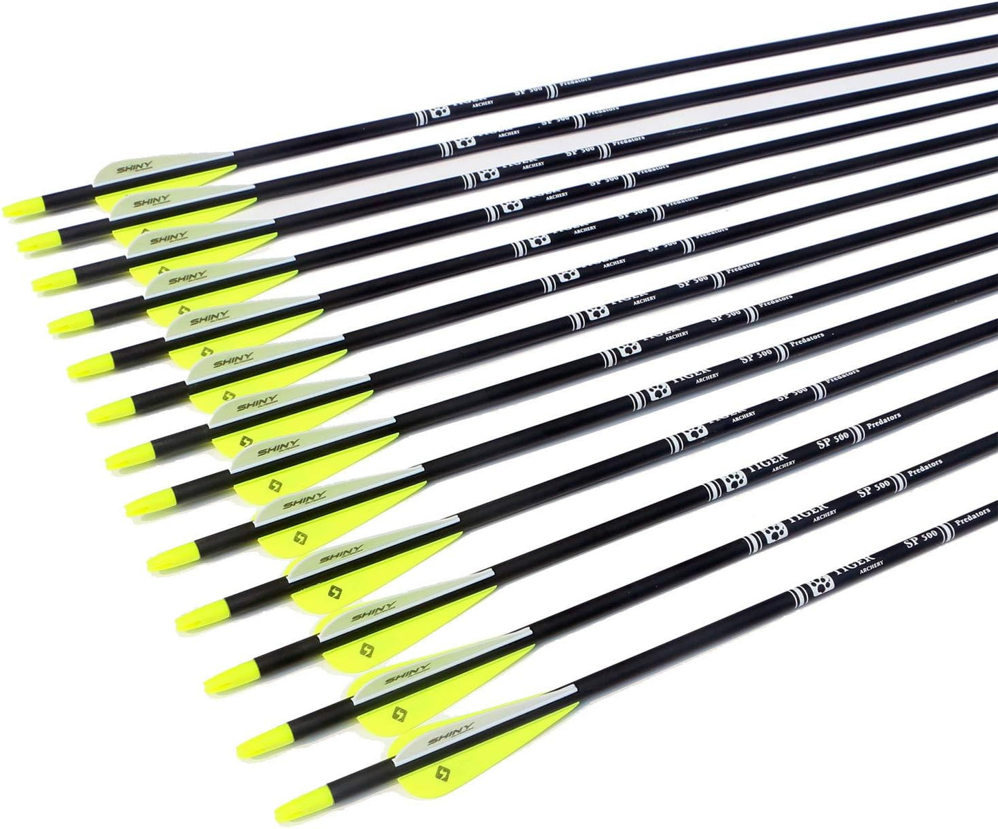 30Inch Carbon Arrow Practice Hunting Arrows with Removable Tips for Compound & Recurve Bow(Pack of 12)