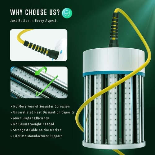 Tendelux Ultra-Bright Underwater Fishing Light, 110V & 12V Green LED Submersible Light Attractants for Docks, Boats or Kayaks, IP68 Rated for Fresh & Salt Water (30ft Cable)