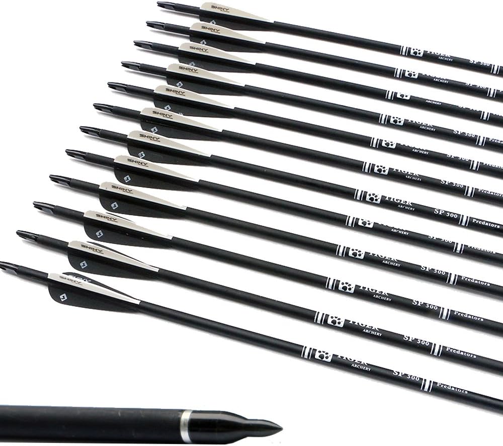 30Inch Carbon Arrow Practice Hunting Arrows with Removable Tips for Compound & Recurve Bow(Pack of 12)