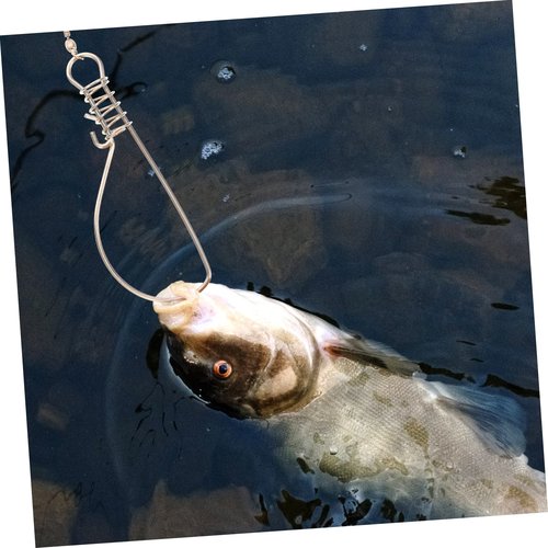 BESPORTBLE Stainless Steel Fish Stringer Clip - Heavy Duty Fishing Stringer with Lock for Outdoor Fishing Portable and Reliable Fish Control Tool 6.69X1.57In