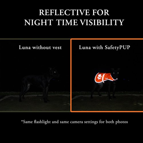 SafetyPUP XD Blaze Orange, Reflective Dog Vest & Bandana (Medium). Safety Gear to Help Prevent Hunting & Motorist Accidents.