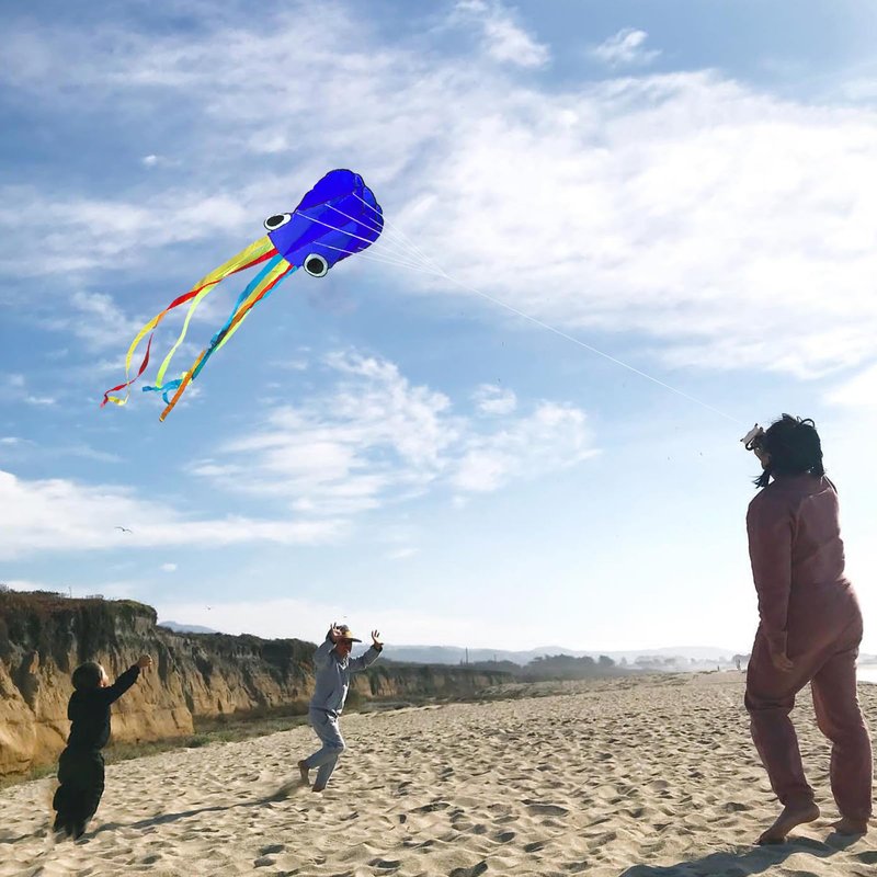 Flying Hoofer Large Octopus Kites(2packs) for Kids and Adults - Easy to Fly, 28X158 3D Software Colorful Kite with Long Tails. Perfect for Beach and Outdoor Activities (Red & Blue).