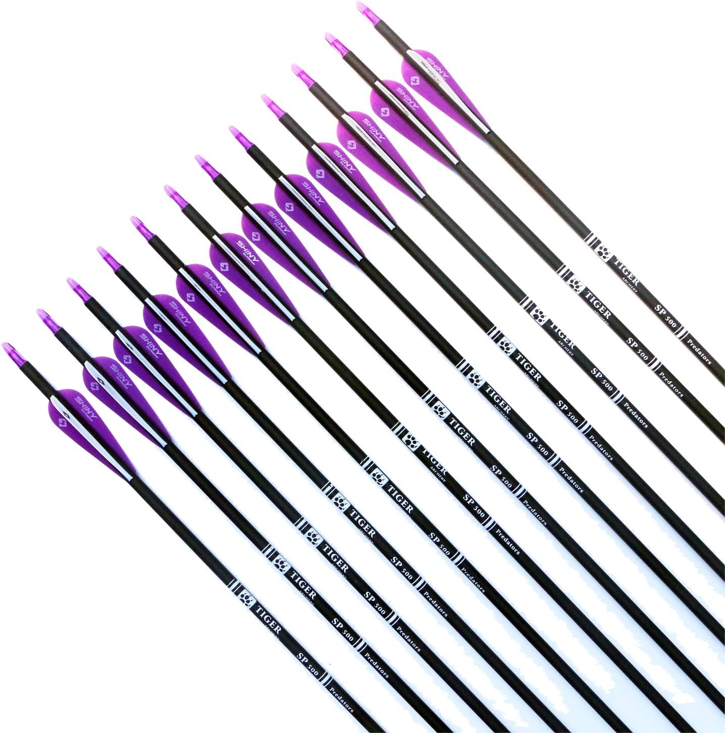 30Inch Carbon Arrow Practice Hunting Arrows with Removable Tips for Compound & Recurve Bow(Pack of 12)