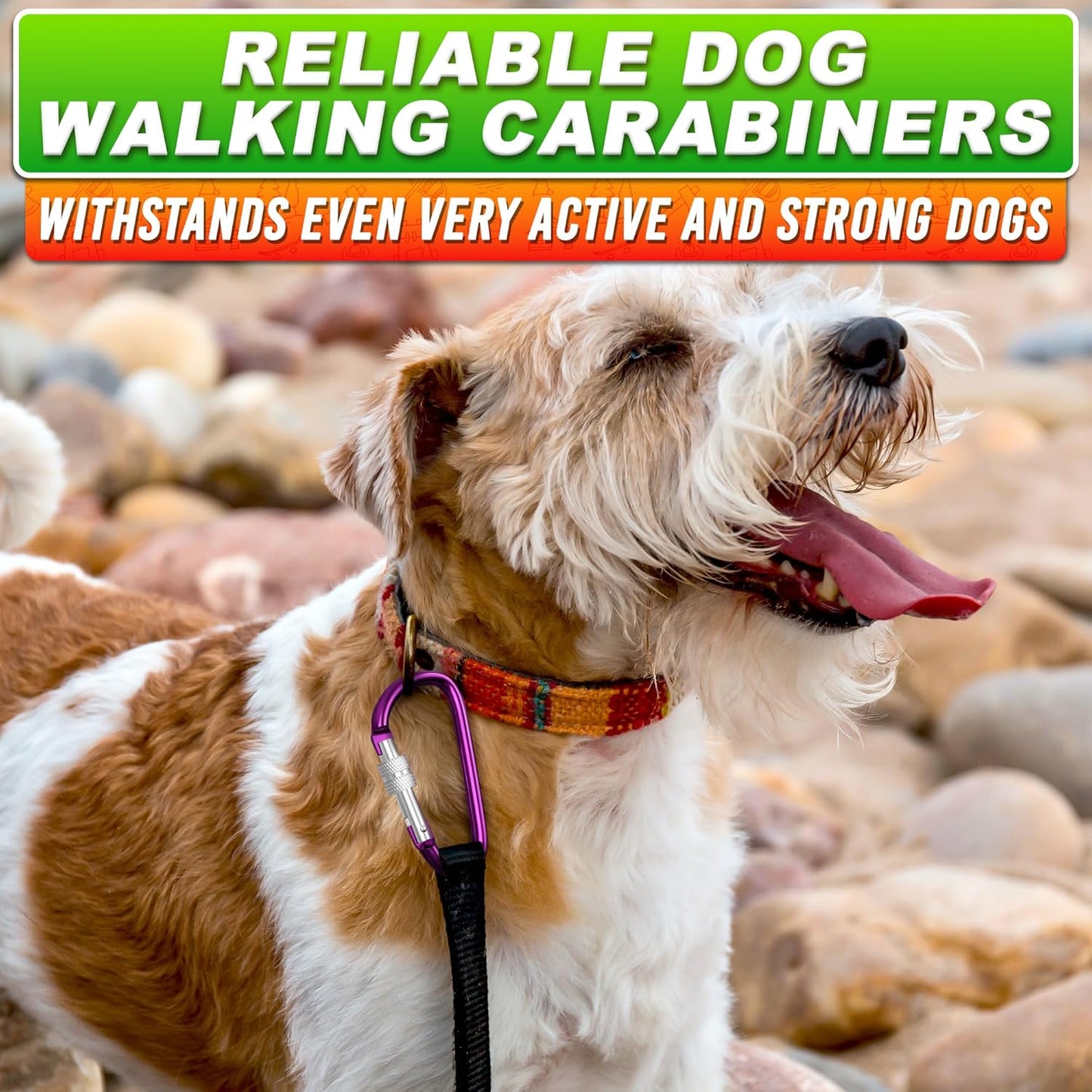 3 Inch Carabiner Clip with Screw Lock - 10 PCs Aluminum Locking Carabiner Clip, Multicolor (Red, Orange, Purple, Blue, White) D Ring for Backpack, Lightweight & Easy to Use, Cool for Camping & Hiking