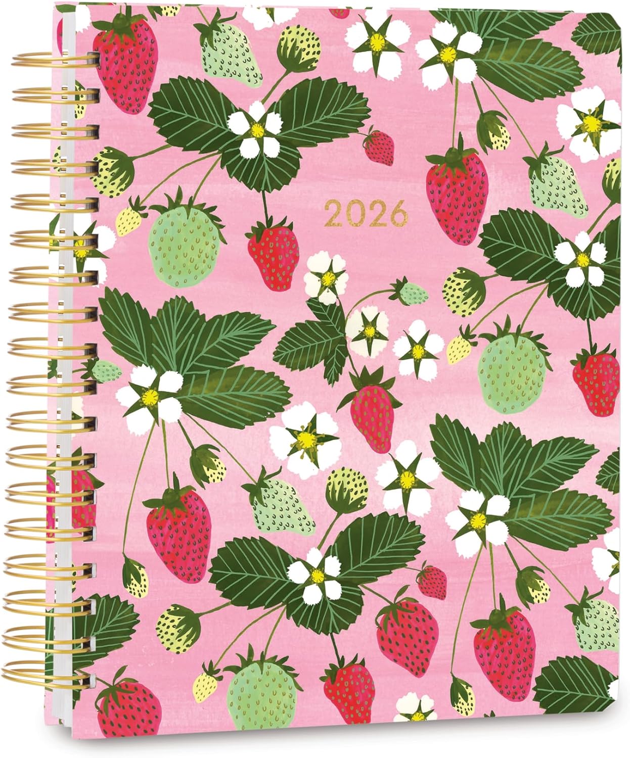 High Note Hardcover Academic Planner 2025-2026, Garden Bee, 9" x 10" 272 Pages, Daily Weekly Monthly Planner 2025-2026 August to December, Back to School Calendar Book for Teachers and Students