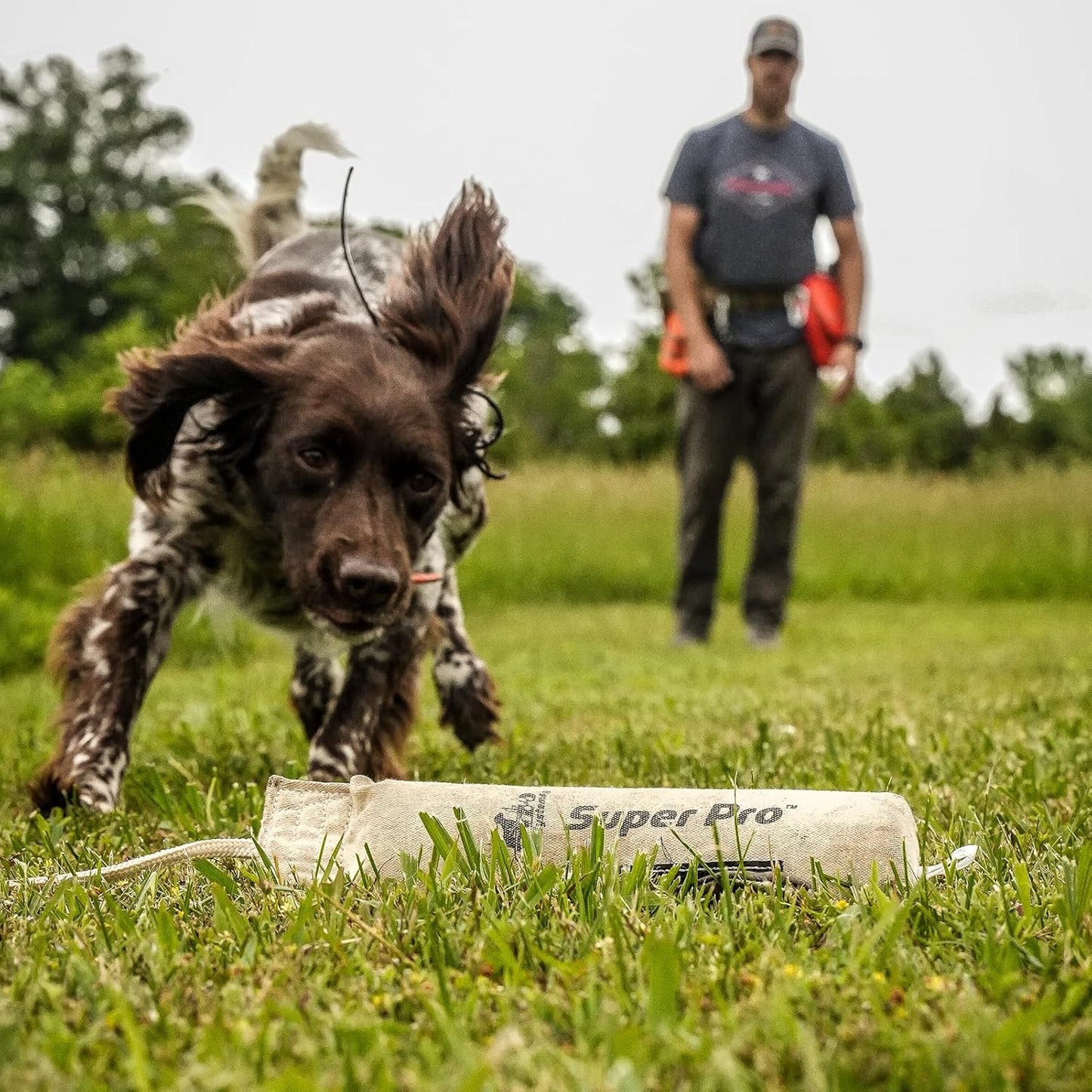 DT Systems Super Pro Series Durable Resistant Floating Upland Waterfowl Hunting Dog/Puppy Retrieval Fetching Training Dummy with Scent Strip & Tough Rope Handle