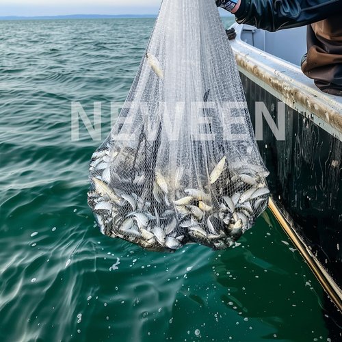 Neween Cast Net for Fishing with Shrimp Cage, American Freshwater Saltwater 3/4/5/6/7/8/9/10Ft Radius Casting Net Bait Trap Fish, Heavy Duty Zinc Sinker, 3/8 Inch Mesh Size