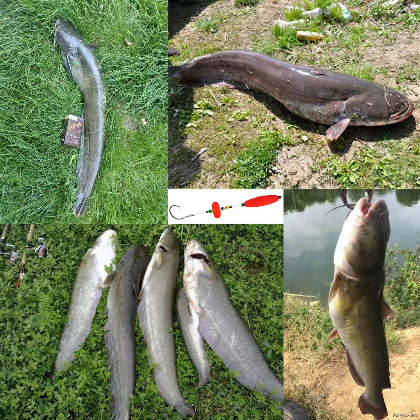 SIWRIOM Catfish Rigs Catfish Float Rigs 6PCS Catfishing (A-Double Rattle-7/0 Hook * 6PCS)