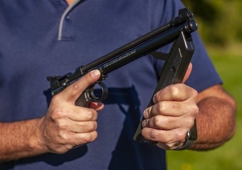 Crosman Air Rifles - High-Powered Pellet Guns for Target Shooting & Hunting