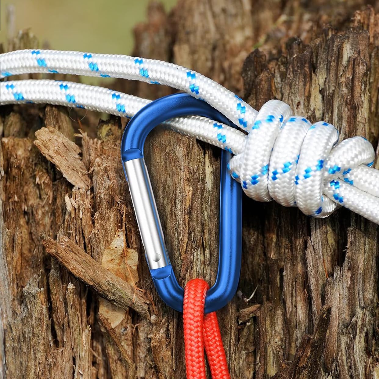 12PCS Carabiner Clip - 2.2" Aluminum Carabiner D Ring Shape,Key Chain Clip Hook,Keychain Clip,Multipurpose for Camping, Hiking,Backpacking or Other Outdoor Activities,Multicolor.