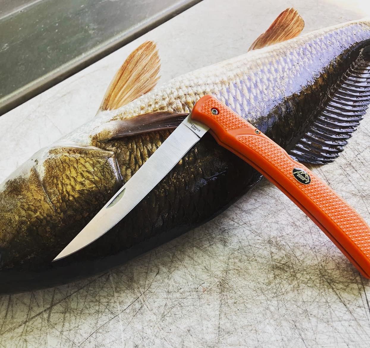 OUTDOOR EDGE Fish & Bone - Folding Fillet Knife with 5.0" 440A Stainless Steel Blade for Fish and Processing Big Game - Pocket Clip