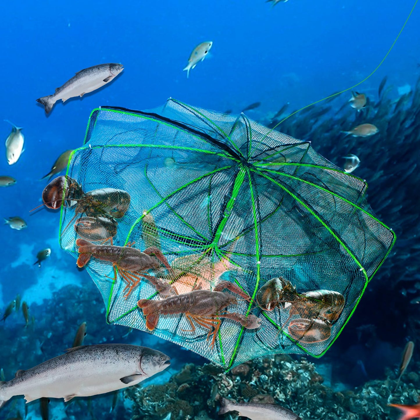 10 Sides 10 Holes Fishing Bait Trap, 32 * 10 Inch Portable Folded Fishing Nets for Minnow Crab Shrimp Crawdad, Upgrade Nylon Mesh Net Fishing Equipment