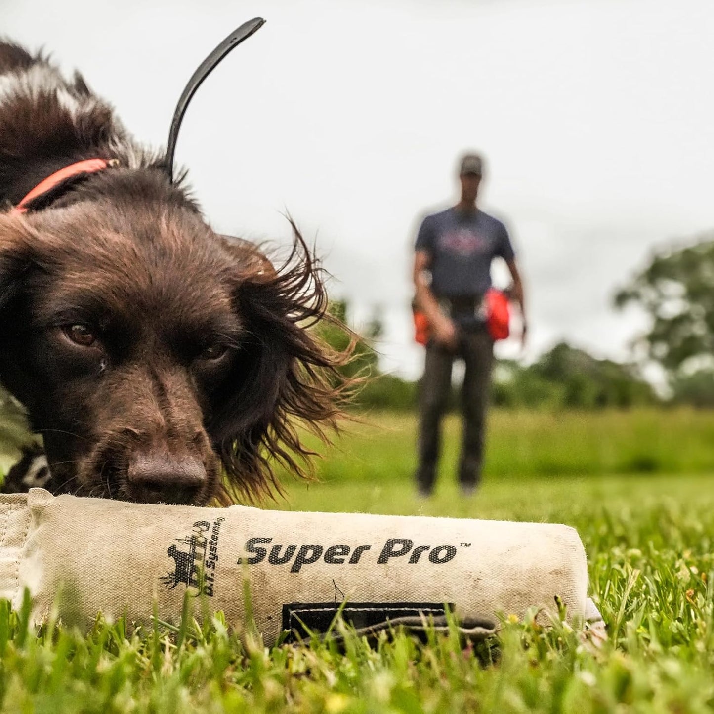 DT Systems Super Pro Series Durable Resistant Floating Upland Waterfowl Hunting Dog/Puppy Retrieval Fetching Training Dummy with Scent Strip & Tough Rope Handle