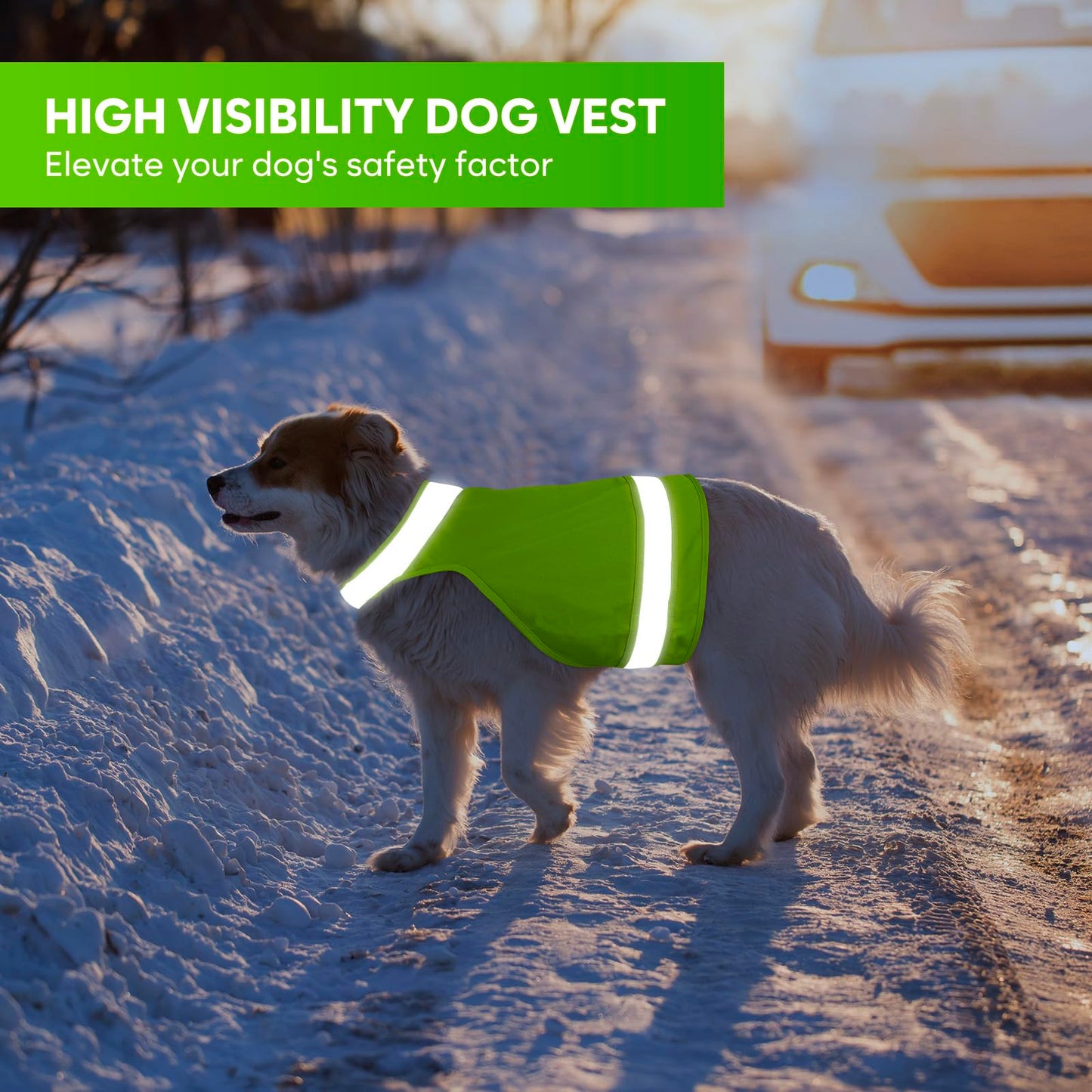 2 Pieces Dog Hunting Vest, High Visibility Reflective Vest, Soft Adjustable Hiking Vest for Outdoor Hunting and Walking Night (Fluorescent Green&Blaze Orange, L)