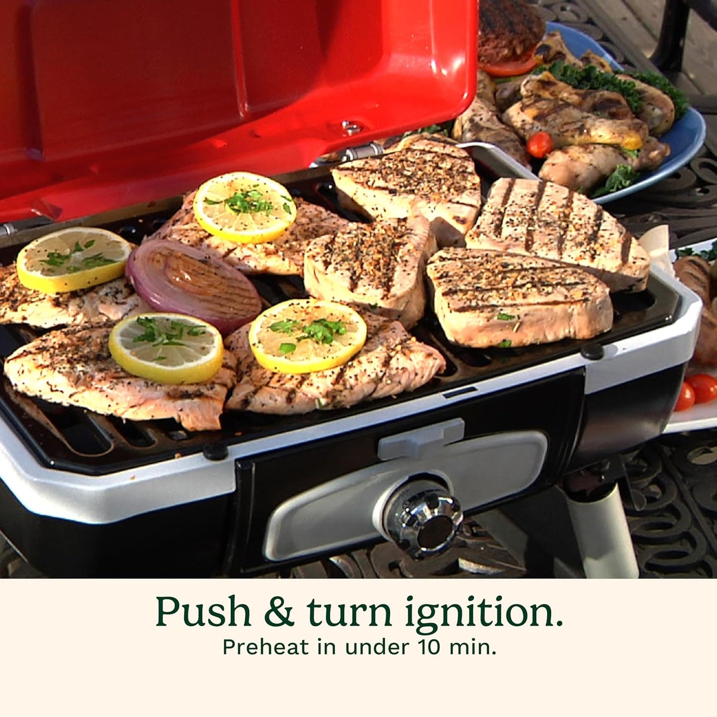 Cuisinart Petite Gourmet Portable Gas Grill, Compact Portable Grill Propane, 150 Sq. In. Cooking Surface, 5,500 BTU Burner Small Gas Grills for Camping, BBQ, Folding Legs and Carry Handles, Stainless