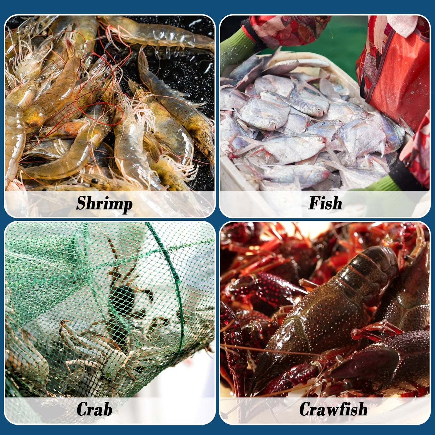 10 Sides 10 Holes Fishing Bait Trap, 32 * 10 Inch Portable Folded Fishing Nets for Minnow Crab Shrimp Crawdad, Upgrade Nylon Mesh Net Fishing Equipment