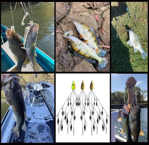 HCHinn 3pcs Alabama Rig for Bass Striper Fishing Lures Baits 5 Arms Umbrella A-Rig Swimbaits with 12 Willow Leaf Blades for Trout Perch Walleye Freshwater/Saltwater Boat Trolling and More