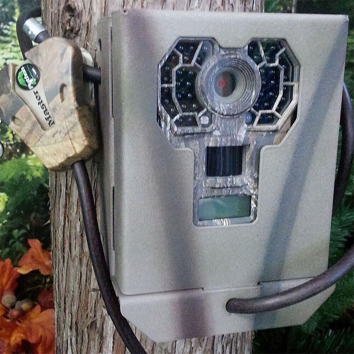 Theft-Deterrent Powder-Coated Steel Security Box Compatible with Stealth Cam G Series Trail Cameras (17700)
