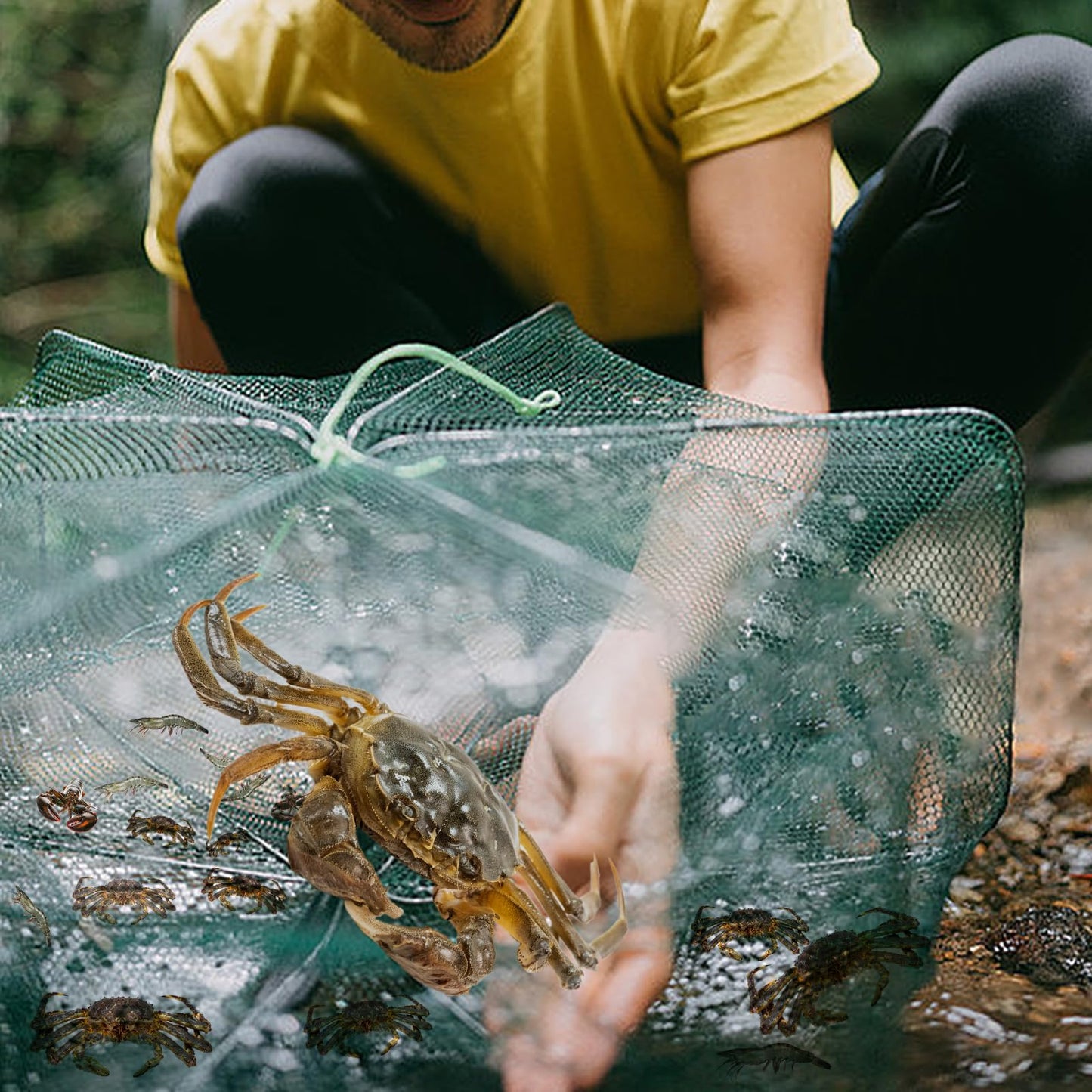 3 Pcs Foldable Fishing Net Accessories for Crab Crayfish Shrimp:Fishing Landing Net with Telescoping Pole Handle, Collapsible Crab Trap Hexagon and 2 Ropes