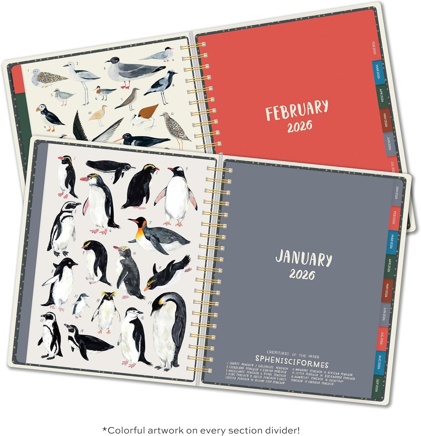 High Note Hardcover Academic Planner 2025-2026, Garden Bee, 9" x 10" 272 Pages, Daily Weekly Monthly Planner 2025-2026 August to December, Back to School Calendar Book for Teachers and Students