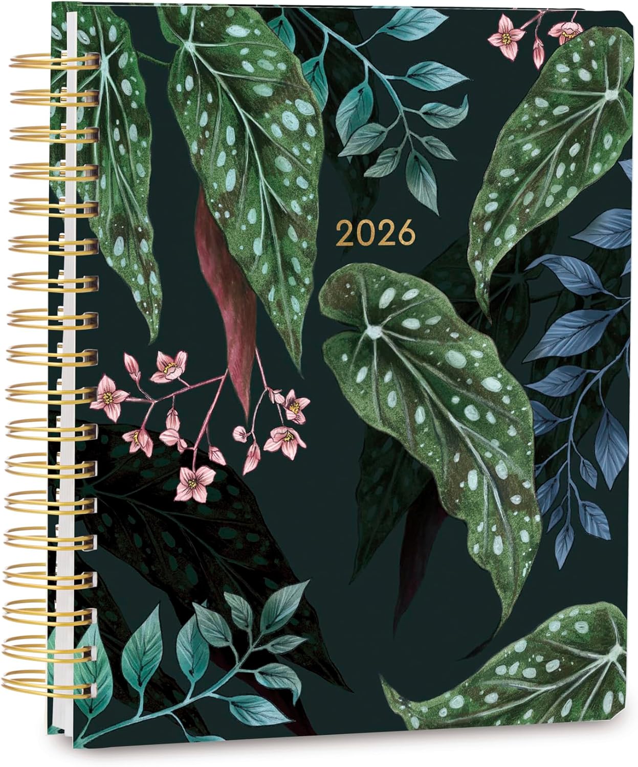High Note Hardcover Academic Planner 2025-2026, Garden Bee, 9" x 10" 272 Pages, Daily Weekly Monthly Planner 2025-2026 August to December, Back to School Calendar Book for Teachers and Students
