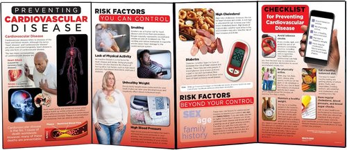 HEALTH EDCO Preventing Cardiovascular Disease Folding Display