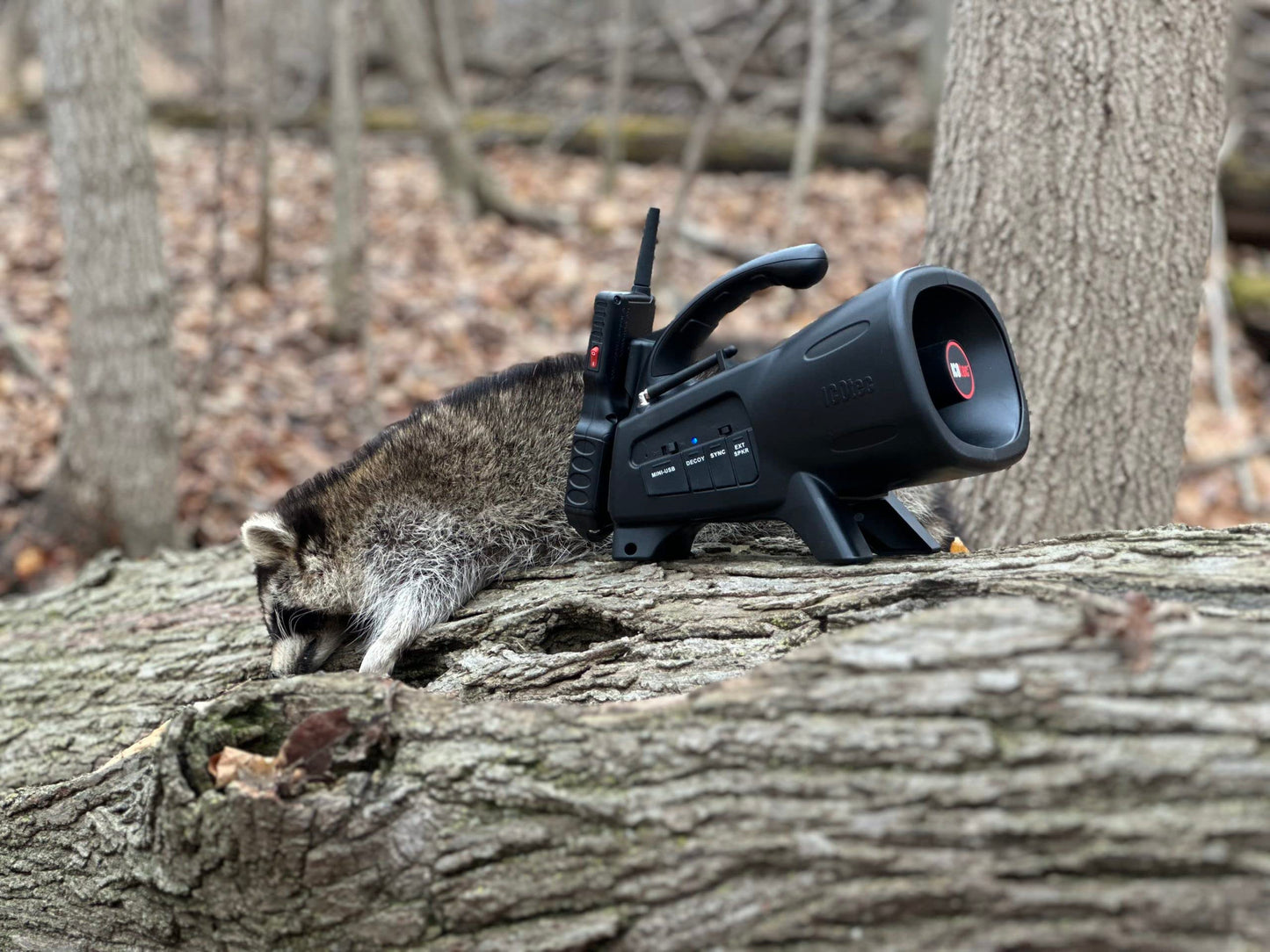 Night Stalker+ Predator Game Call - Designed for Coyote, Fox, Bobcat, Raccoon Hunting - 165 Sounds Included, 300 Yard Remote Range