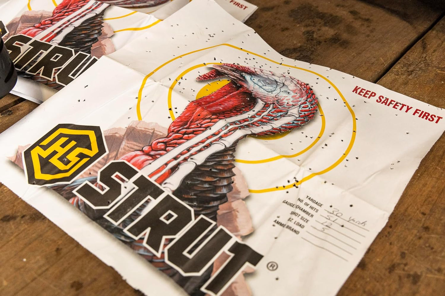Hunters Specialties Full Size Paper Shooting Practice Turkey Targets - 11 inch x11 inch - 12 Pack