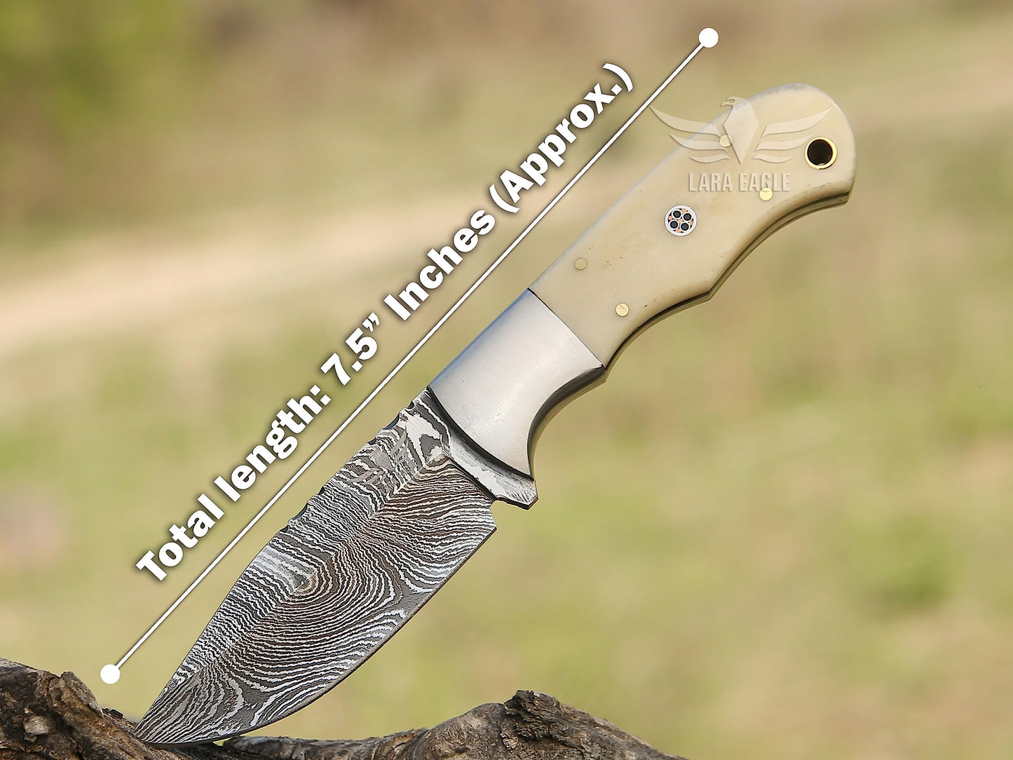 Lara Eagle Damascus Hunting Knife - Fixed Blade Handmade Skinner with Sheath - 7.5 inch Survival Knife Great for Camping, Hunting - Camel bone Handle with mosaic pin, Gift for Husband, Anniversary, Dad (Camel bone)
