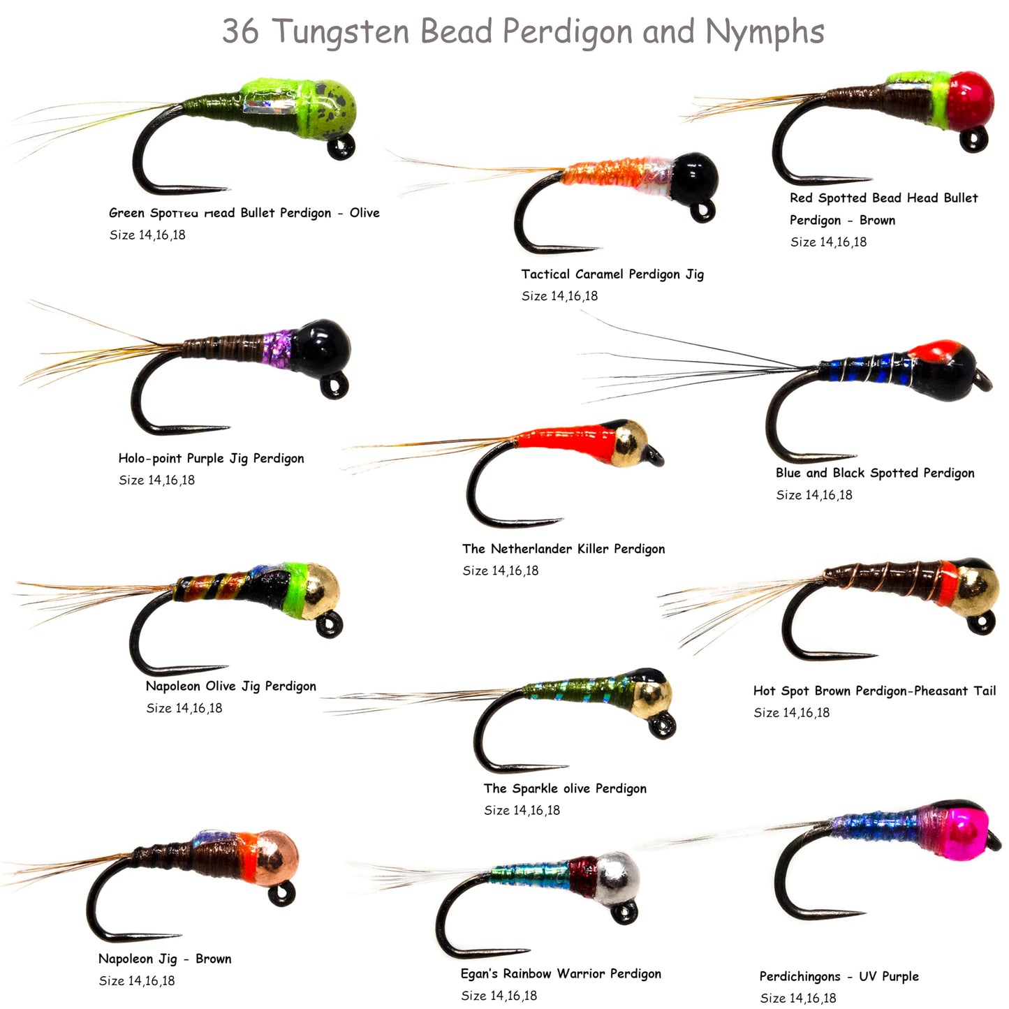 36 Premium Tungsten Bead Perdigon Nymphs Fly Fishing Flies Assortment | Trout and Grayling Fishing Lure