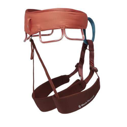 Women's Momentum Climbing Harness by Black Diamond