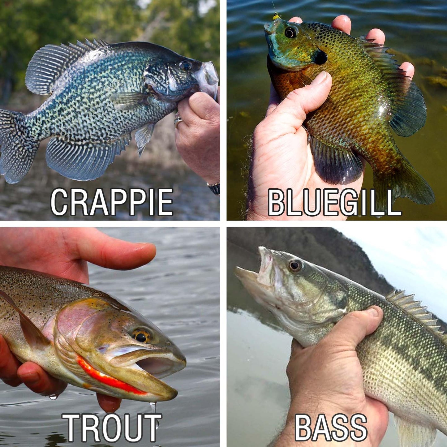 135 Pieces Jig Heads Fishing Hooks kit with Soft Plastic Crappie Lures for Crappie Trout Bass Walleye Bluegill Perch Catfish