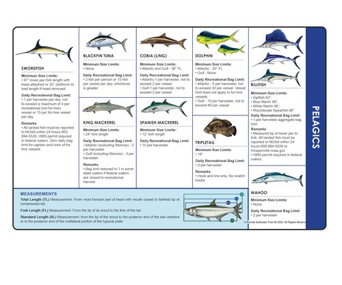 Florida Saltwater Fishing Guide. 100% Waterproof Fish Identification Book with 12 Pages, FWC Rules, Limits, and Seasonal Regulations, 70+ Fish and Shark Photos, Angler and Fisherman Chart